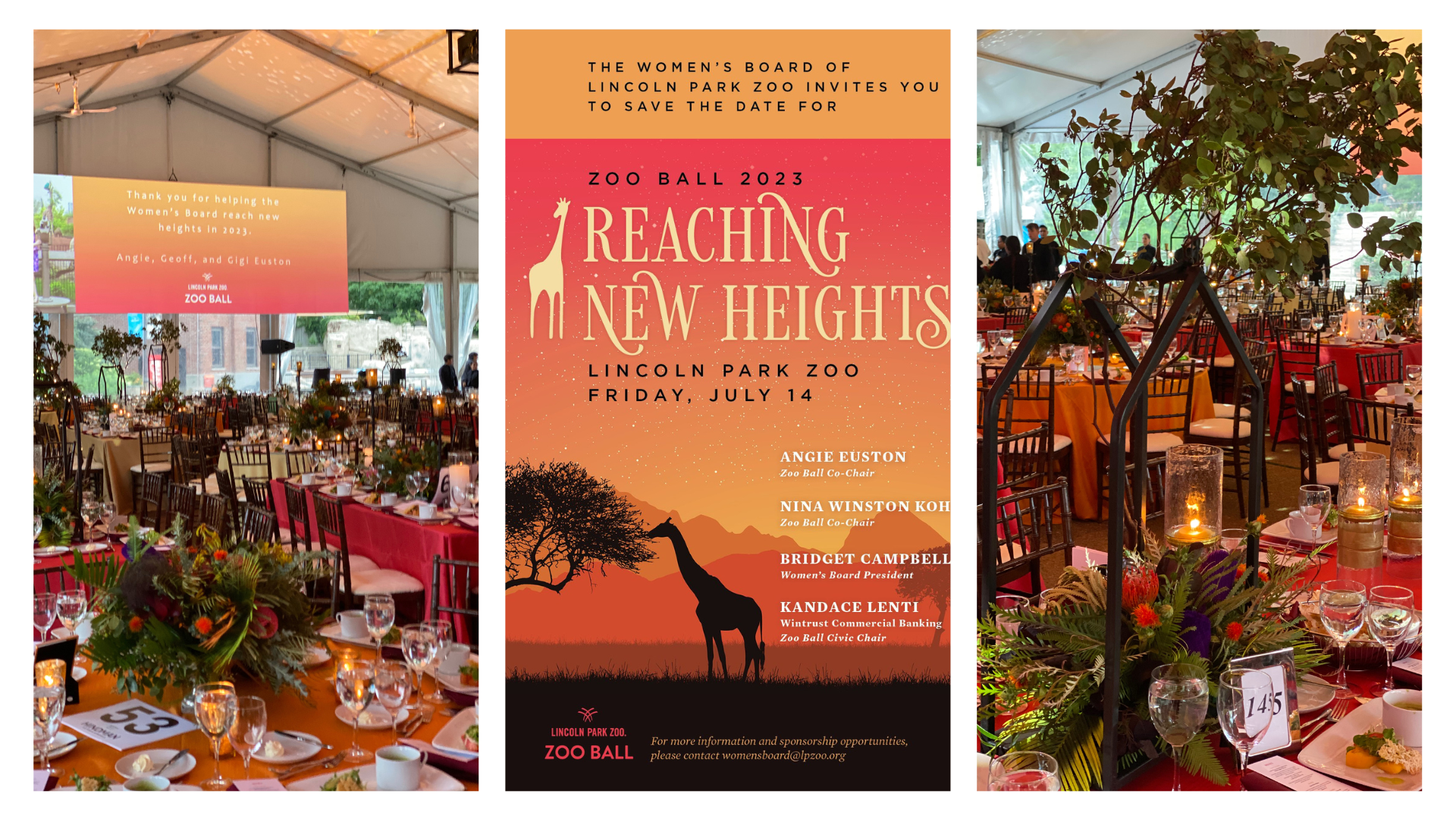 “Reaching New Heights” at the Lincoln Park Zoo’s Annual Women’s Board Gala